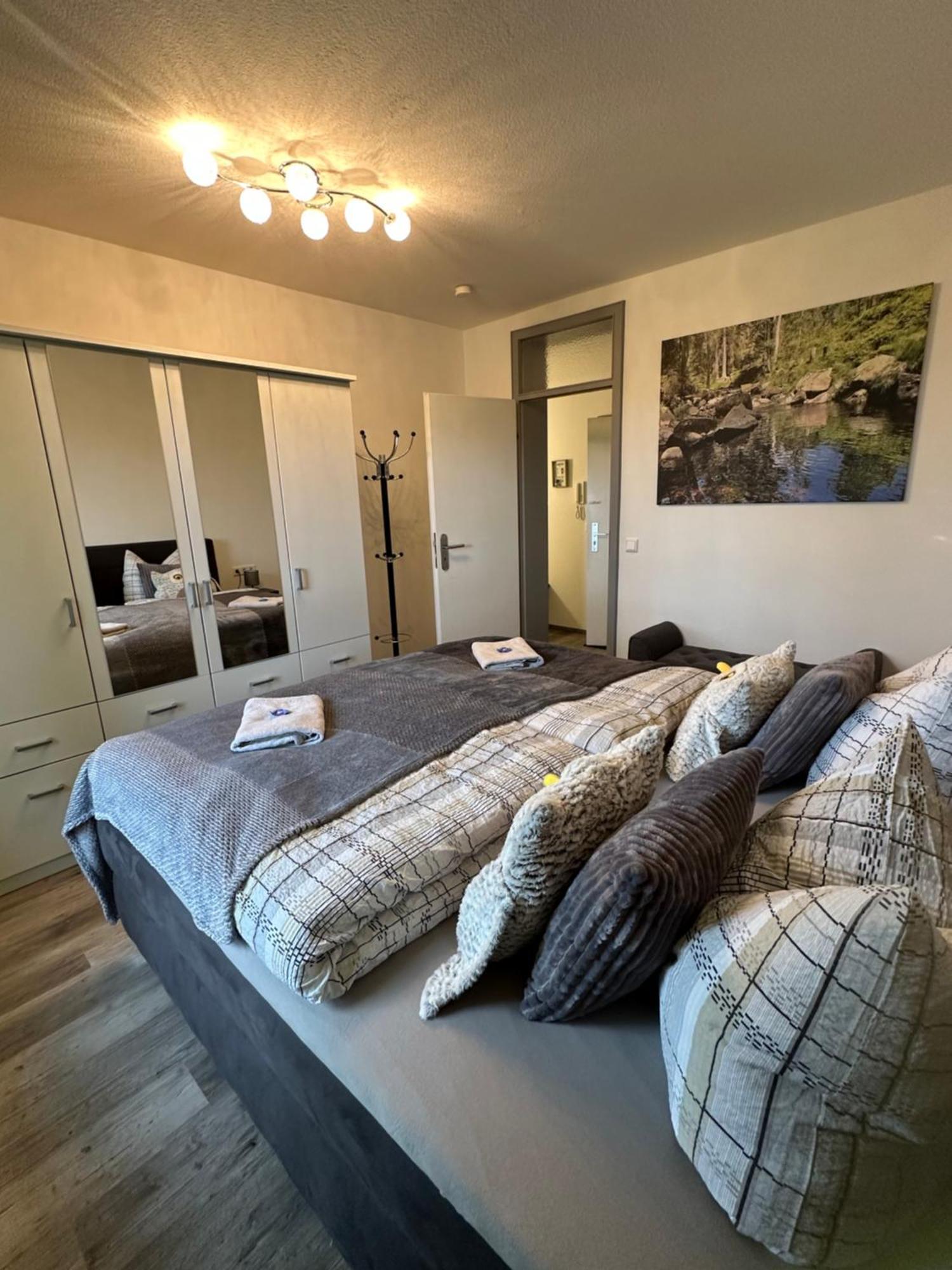 Apartmán Harzer Traum - Renoviert, Inklusive Waesche Und Wlan Braunlage Exteriér fotografie