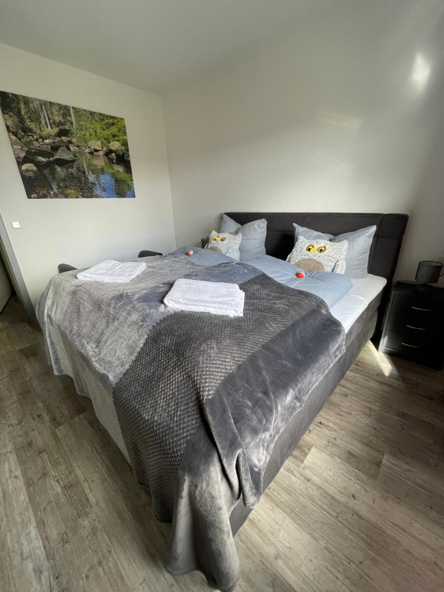 Apartmán Harzer Traum - Renoviert, Inklusive Waesche Und Wlan Braunlage Exteriér fotografie